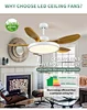  ventiladores de techo de 5 aspas